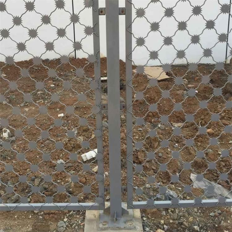 梅花刺隔离网案例展示